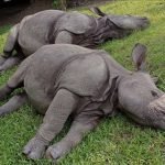 385534667_1578468619564028_2838037233296203721_n