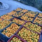 suntala-pic-sajilomedia