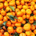 पुर्वी पहाडका किसान सुन्तलाको मूल्य वृद्धि हुँदा उत्साहित 1090775362orangeee