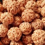 Rudraksh-1-768×439
