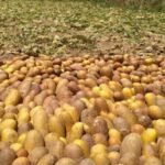 kakroko_biu_RASx4QviOB-768×415