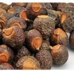 रिट्ठाको भाउ घटेपछि किसान मारमा rittha2023-01-03-04-51-46