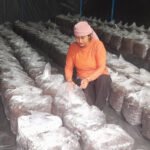 कृषि पेसाबाट गाउँमै आत्मनिर्भर सावित्री : च्याउखेतीबाटै गर्छिन १२ लाख बढी आम्दानी Untitled-8