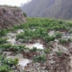 बैतडीमा असिनाले बालीनालीमा क्षति kishan