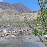 मुस्ताङमा सार्वजनिक जग्गामा समेत गरिदैंछ स्याउ खेती 20250411_105423-(1)