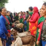 प्युठानमा महिला समूहका सदस्यलाई बाख्रा उपहार Photo-Bakhra-Upahar