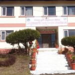 नेपालमा अदुवा र बेसारका नयाँ जात पहिचान yyy