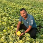 तरबुजा बिक्री गरेर रु १२ लाख आम्दानी गर्दै दाङका किसान Untitled-6 (1)