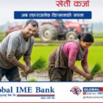 dhan-kheti-karja-768×384