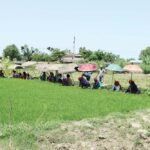 रैथाने ‘कालानमक’ धान रोप्दै ठाकुरबाबा नगरपालिका Dhan-Bad-ब्याड-काट्दै-महिलाहरु-(1)