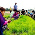 CREATOR: gd-jpeg v1.0 (using IJG JPEG v62), quality = 82