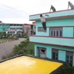 धनगढी उपमहानगरपालिकाले ल्यायो सेफ्टी जम्प एयर ब्याग, आगलागीमा सुरक्षित उद्धार सम्भव Dhangadhi2222